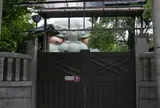 難波八阪神社
