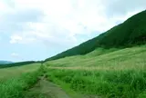 仙石原