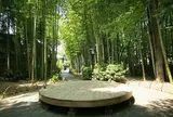 竹林の小径
