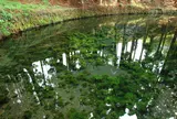 白川水源