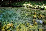 白川水源
