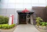 Neo Studio