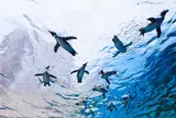 サンシャイン水族館