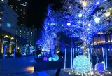 名古屋ルーセントタワーのツリー