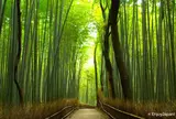嵐山