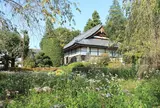 法善寺の藤袴