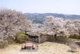 美の山公園