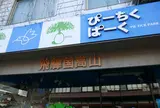 謎の店ぴーちくぱーく