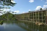 けいはんな記念公園（精華町）