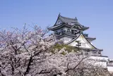 【花見スポット】岸和田城