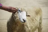 天王寺動物園
