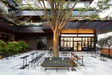 TRUNK (HOTEL)