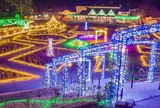 茨城県フラワーパーク