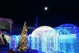 TOKAI “make a wish” ILLUMINATION