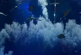 アクアワールド茨城県大洗水族館