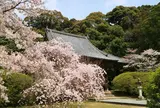 長岳寺