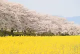 藤原宮跡