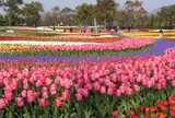 木曽三川公園管理センター