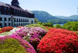 山のホテル