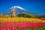 天空の花畑（遊園地ぐりんぱ内）