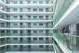 愛民村