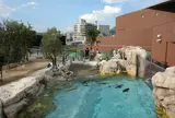 下関市立しものせき水族館・海響館
