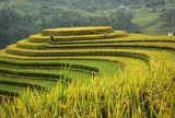 TUNG NGOC Travel