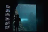上越市立水族博物館 うみがたり（旧：上越市立水族博物館）