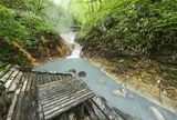 大湯沼川天然足湯