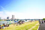 信濃川やすらぎ堤緑地