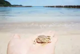千酌海水浴場(ちくみ)