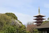 伝法院