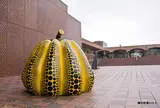 福岡市美術館