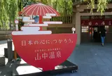 山中温泉総湯菊の湯に入ろう