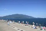 敦賀新港