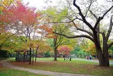 円山公園