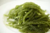 日本一の海ぶどう