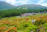 湯の丸高原