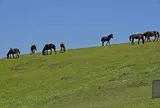 都井岬