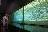 イヨボヤ会館