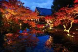 金戒光明寺