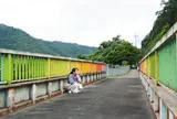 Tobitani Side Road Bridge