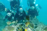 九州No.1の海へ！！スキューバダイビング体験
