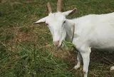 満喫しよう！！まつばら農園