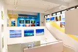 写真美術館MIRA