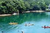 Kiaora Paddle(キオラパドル)