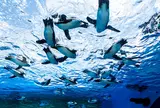 サンシャイン水族館