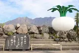 旅の駅桜島 桜島物産館