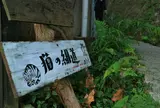 猫の細道