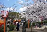 円山公園
